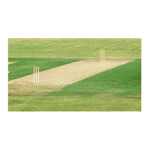 read a cricket pitch