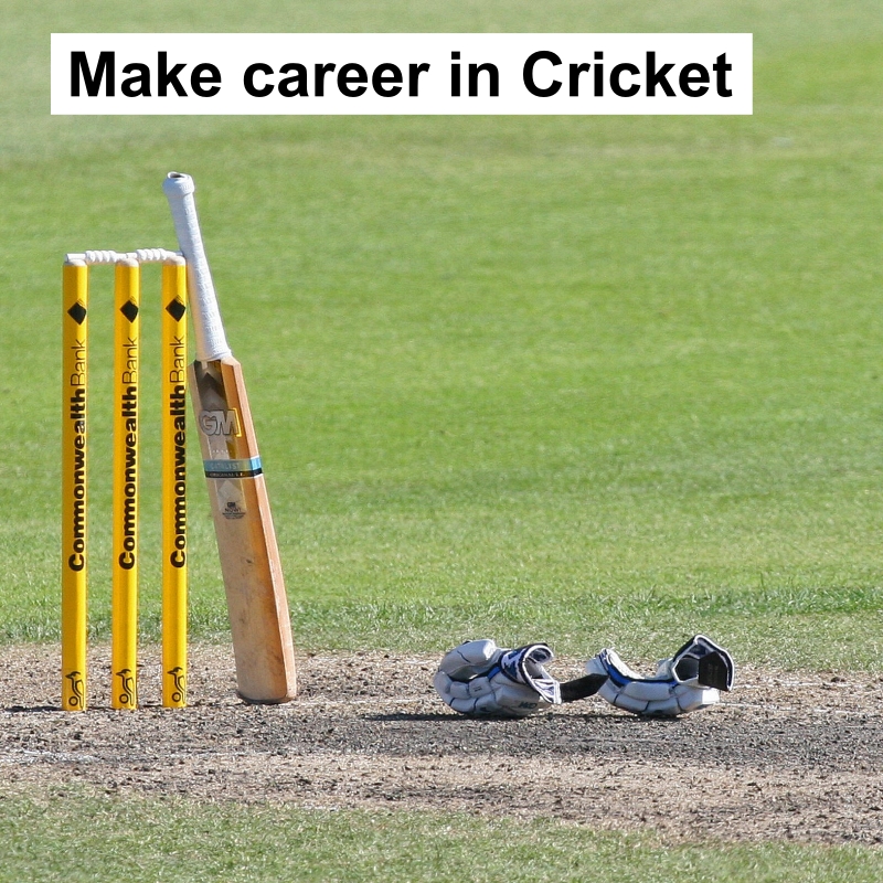make career in cricket